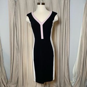 White House/Black Market  Sheath Dress